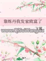 靠炼丹我发家致富了小说