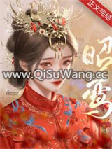 昭鸾小说