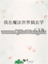 我在魔法世界搞玄学小说