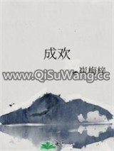 成欢小说