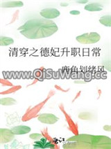 清穿之德妃升职日常小说
