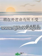将在外君命有所不受小说