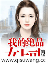 我的绝品女上司小说