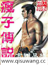 疯子传说小说