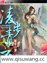 凌步青云小说