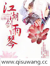 江湖剑雨琴小说