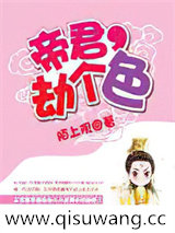 帝君,劫个色小说