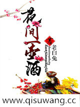 花间一壶酒小说