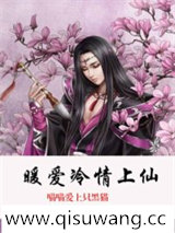 暖爱冷情上仙小说