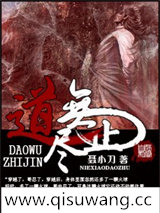 道无止尽小说
