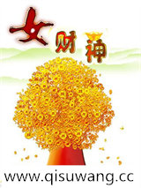 女财神小说
