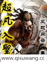 超凡入圣小说