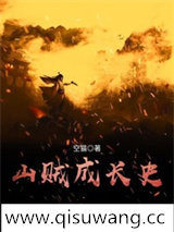 山贼成长史小说