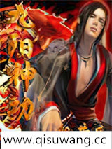 九阳神功小说