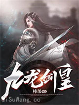 九龙剑皇小说