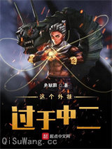 这个外挂过于中二小说