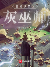 霍格沃茨之灰巫师小说