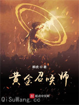 黄金召唤师小说
