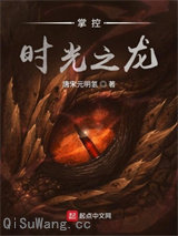 掌控时光之龙小说