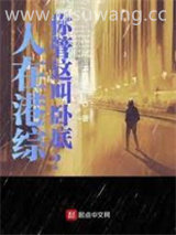 人在港综，你管这叫卧底？小说