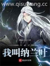 斗破之我叫纳兰叶小说