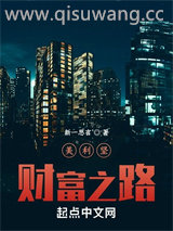 美利坚财富之路小说
