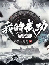 我的武功全球流行小说