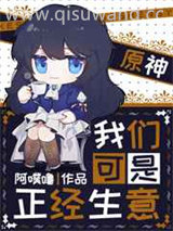 我们可是正经生意小说
