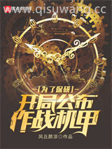 为了保研：开局公布作战机甲小说