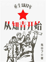 重生1977年从知青开始小说