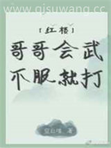 哥哥会武不服就打小说