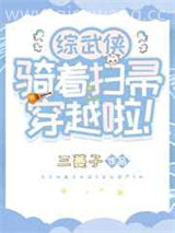 骑着扫帚穿越啦小说