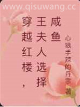 穿越红楼，王夫人选择咸鱼小说