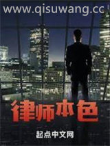 律师本色小说