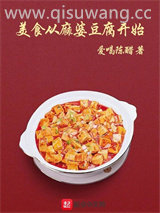 美食从麻婆豆腐开始小说