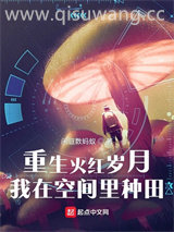 重生火红岁月，我在空间里种田小说