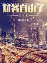 财务自由了怎么办小说