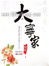 大宁家小说
