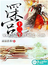 深宫十二年小说