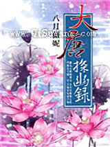 大唐探幽录小说