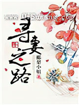 寻妻之路小说