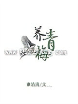 养青梅小说