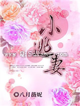 小逃妻小说