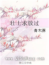 壮士求放过小说