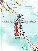 恭王府丫鬟日常小说