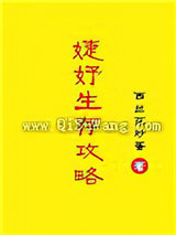 婕妤生存攻略小说