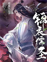 锦衣儒圣小说