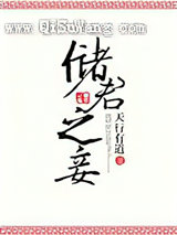 储君之妾小说