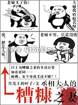 丞相大人的糟糠之妻小说