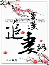漫漫追妻路小说